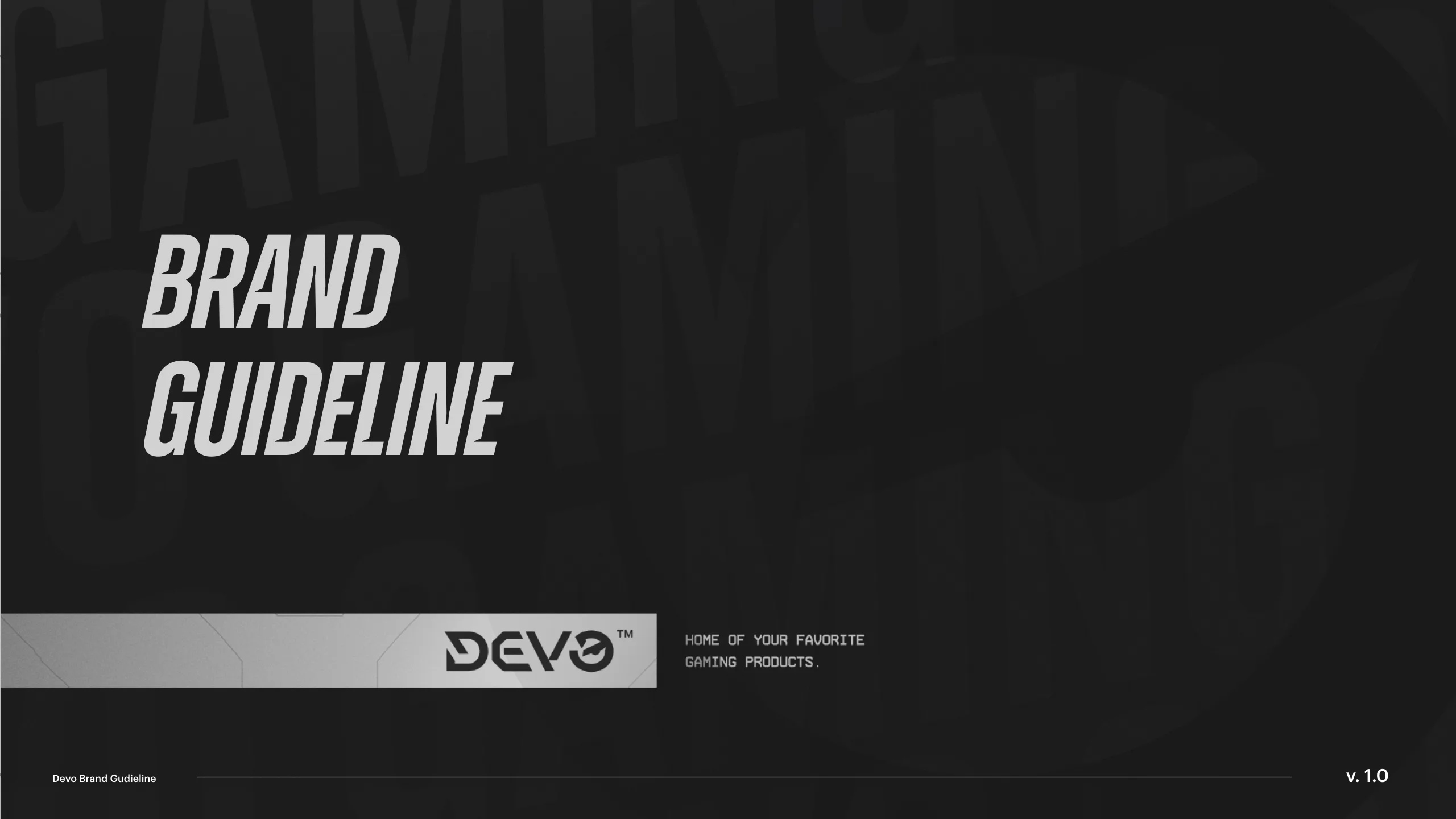 Devo Brand GuideLine — slide 1
