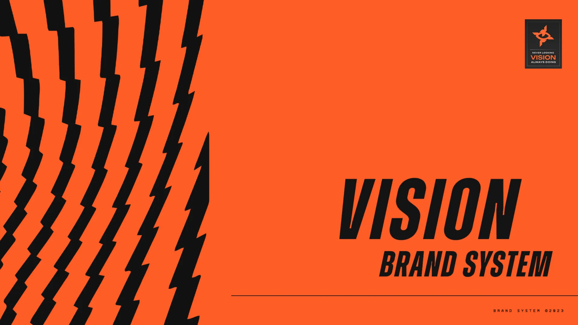 Vision Brand